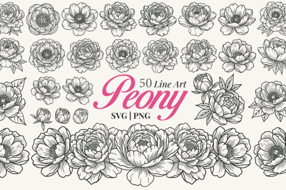 Elevate Your Designs with Timeless Peony Flower Line Art